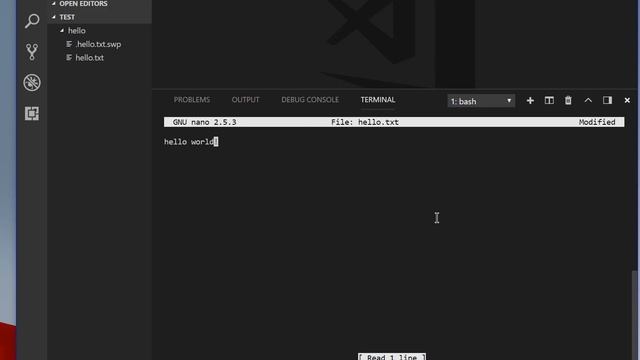 WSL Bash support in VSCode смотреть онлайн