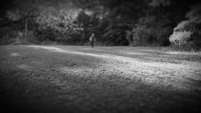 Broken Windows смотреть онлайн