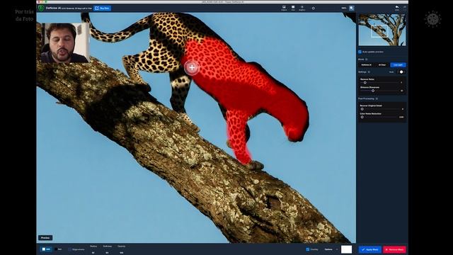 É possível reduzir o ruído da foto com o Topaz Denoise AI? смотреть онлайн