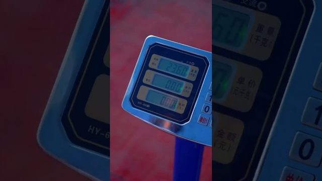 黑心老闆因為幫抄直接剪線罰款！下秒直接釣上來五十斤大肥魚回本！這下讓老闆哭去吧【娜小娜愛釣魚】 смотреть онлайн