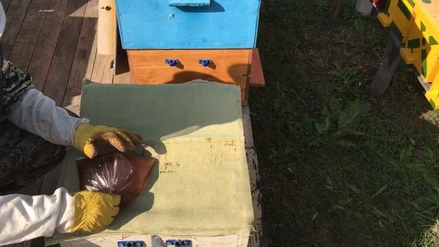 Сборка гнезда пчёл в зиму 8 лет без потерь смотреть онлайн