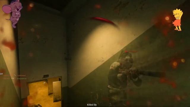COD Warzone Gameplay No Commentary Update Live Stream смотреть онлайн