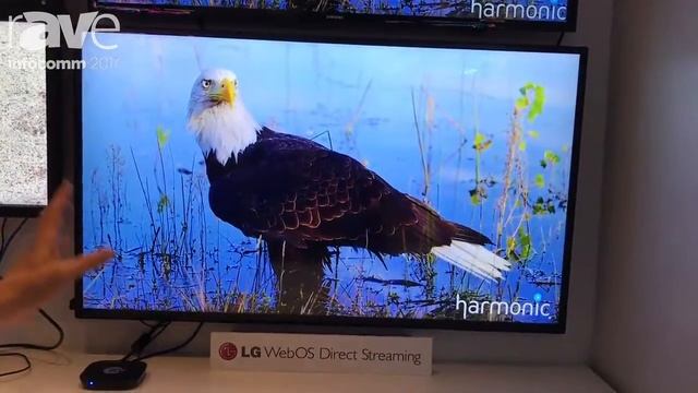 InfoComm 2017: ZeeVee Reveals H.264 IP Encoder with LG WebOS смотреть онлайн