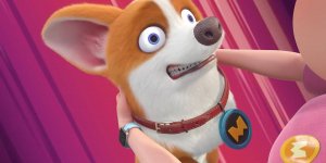 Корги по имени Моко. Простые истории, 72 серия. Пятно 