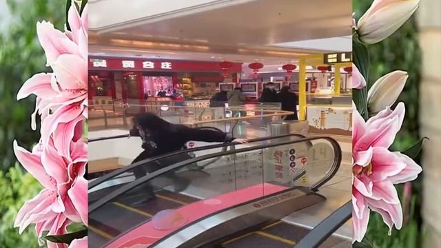 trực tiếp bóng đá_forum baccarat việt nam смотреть онлайн