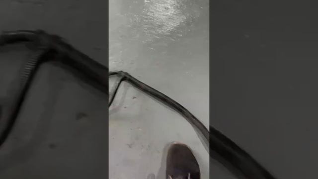 Проводка ABS передняя Daf XF105 смотреть онлайн