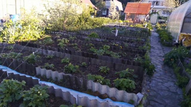 сравнение оросителей Karcher & Green Apple смотреть онлайн