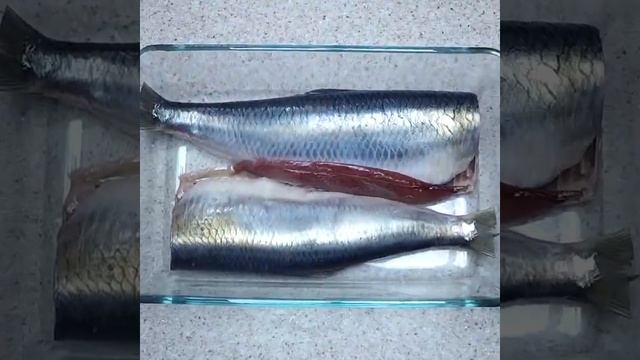 thumb-Сельдь атлантическая ~1кг-4}