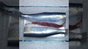 30 секунд о том, как засолить селедку | Готовим вместе - Деликатеска.ру