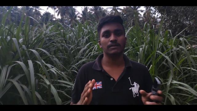Windows Basic questions & Answers (Tamil) смотреть онлайн