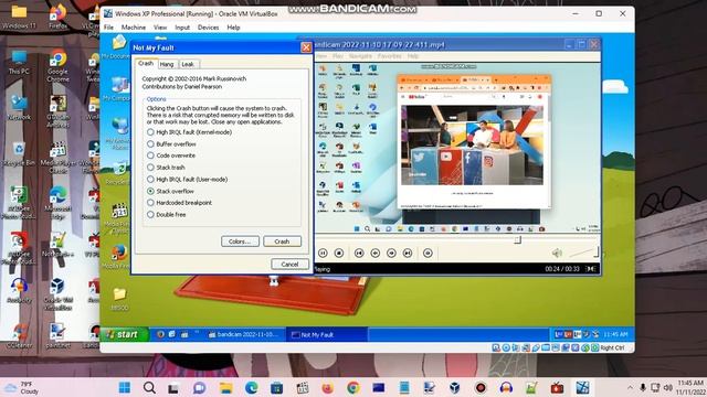 Windows XP BSOD 187 (2022) смотреть онлайн