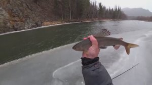 РЫБАЛКА Осенью по ЗАБЕРЕГАМ на льду_ ЛОВЛЯ Крупного ХАРИУСА в Октябре На Горной таёжной реке Хакасии