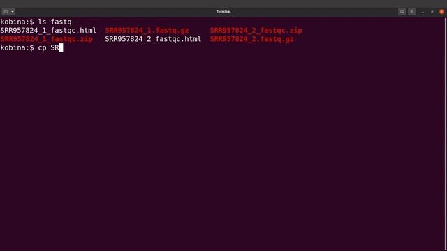 FastQC Tutorial | Command Line | Quality Control