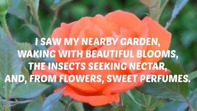 || THE WORLD THROUGH MY WINDOW || THE ENERGY OF EXISTENCE (PART-2) смотреть онлайн