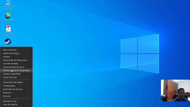 Windowsfx 11 versão com Cinnamon (Linux) - visão geral do sistema смотреть онлайн