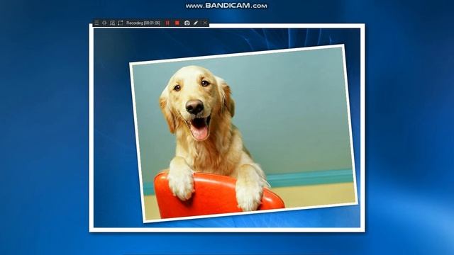 Windows XP Addon Theme - Paw смотреть онлайн