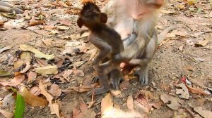 Poor Jayden Broken Heart !! Baby very angry Jade cos not carry baby, Why mum leave baby alone?