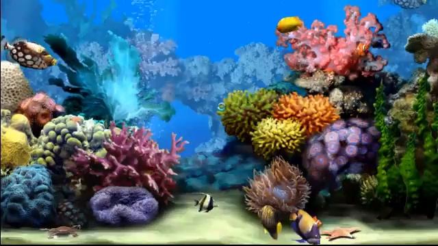 Aquarium with Sound.FLV смотреть онлайн