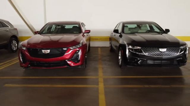 Rohrich Cadillac Inventory Video Nov 22 смотреть онлайн