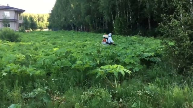 Вопросы Новой Москвы обсудили с депутатом смотреть онлайн