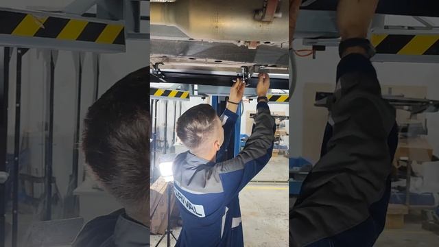 Порог-площадки Rival смотреть онлайн