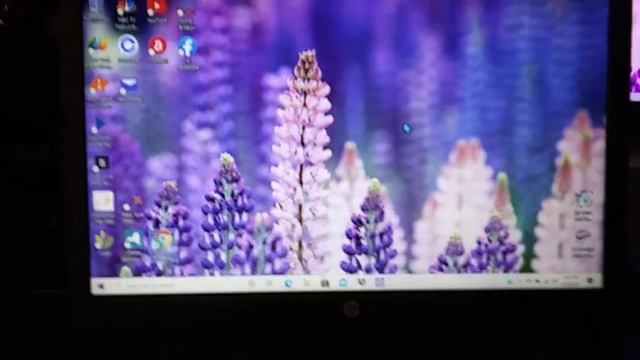 hp 14" Stream Laptop (Product Review) смотреть онлайн