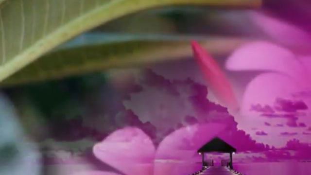 windows movie maker 2 смотреть онлайн