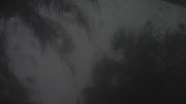 Hurricane Ian Through A Closed Window - Wind & Rain - Sounds For Sleep & Relaxation смотреть онлайн