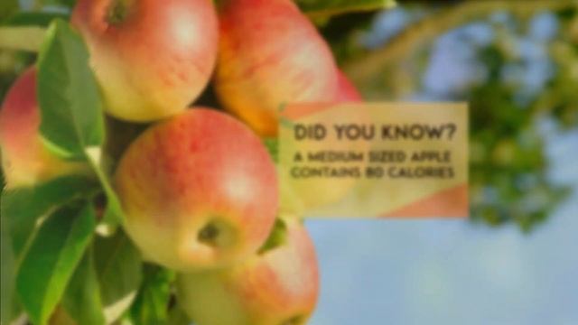 6 Amazing Facts You Don't Know About Apple Fruit! смотреть онлайн
