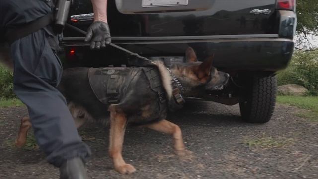 Episode 19: This Week in the City, Danbury Police Department Recruitment смотреть онлайн