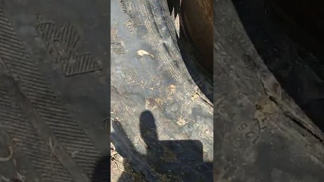 Вот так подходт покрышки от евро прицепа на птс6 смотреть онлайн