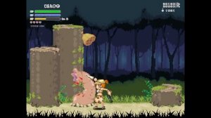 Echidna Wars Dx - Fio Gameplay Skin