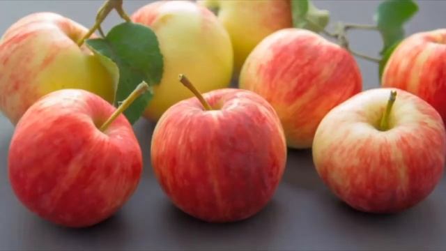 Apple Daily (Day 54)