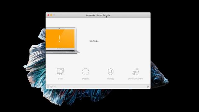 Kaspersky Internet Security For Mac (Review) 2020 смотреть онлайн