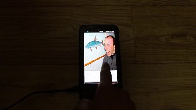 elementary_test "Flip Interactive" on Tizen Reference Phone смотреть онлайн