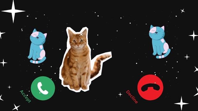 Cats 📞Apple ringtone 2024 ll iPhone 15 #iphone #ringtone ##cat #cats #youtube смотреть онлайн