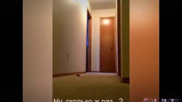 НАТАША ЗАКРОЙ ОКНО!!!!!!!МНЕ ХОЛОДНО😣😣😣😣😣😣