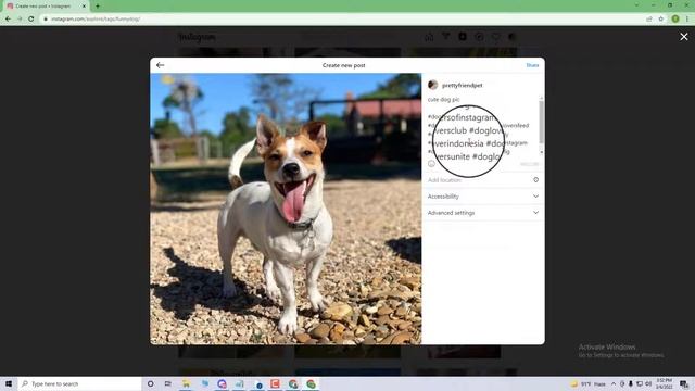 Best Tools For Instagram Hashtag Research | The Right Hashtags On Instagram смотреть онлайн