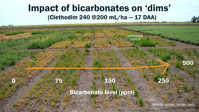 Water quality: 3. interactions with pesticides смотреть онлайн