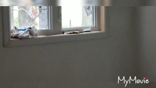 Up North we go(window change) смотреть онлайн