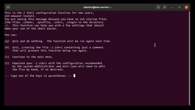 bash vs zsh in ubuntu 20.04 server смотреть онлайн