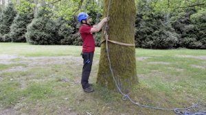 Как работать с Вуппи и Арбопортом