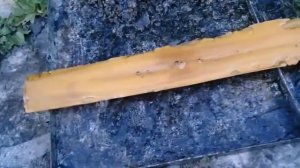 Работа солнечной воскотопки на пасеке