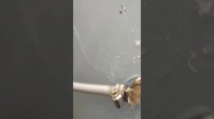 душевая кабинка замена шлангов