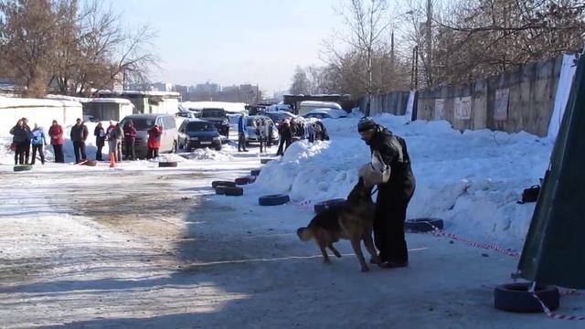 Негус Карилс Изай выражено,отпускает смотреть онлайн