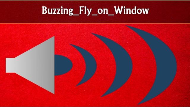 Buzzing Fly on Window Sound Effects смотреть онлайн