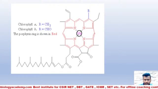 CSIR NET Sept 2022 Paper discussion | Morning Shift | Part-4 | CSIR NET SEPT 2022 Paper Analysis смотреть онлайн