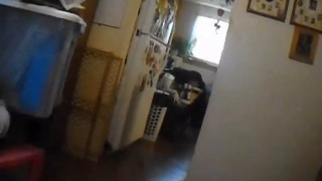 update on living room - windows and doors to do now 2022 смотреть онлайн