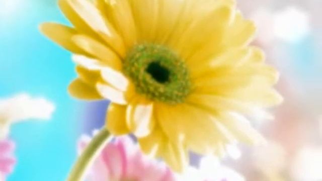 ИНЕССА.wmv смотреть онлайн