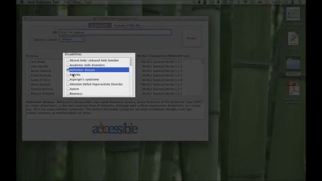 Mobile Web accessibility assessment Tool смотреть онлайн